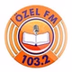 Özel FM logo