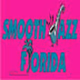 Logo de Smooth Jazz Florida Christmas