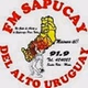 Sapucay FM 91.9 logo