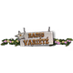Radio Varit logo