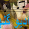راديو گلها logo