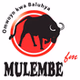 Mulembe FM logo