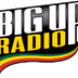 BigUpRadio - Roots logo