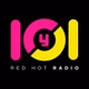 Y101 - DYIO logo
