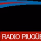 Logo de Radio Pigué LU34