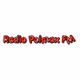 Radio Polmax FM logo