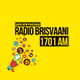 Radio Brisvaani logo
