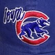 Iowa Cubs Baseball Network logo