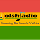 Logo de Dolsh Radio