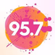 Logo de Fidelity 95.7 FM - WZAR
