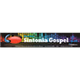 Radio Sintonia Gospel FM logo