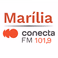 Rádio Conecta 101.9 FM logo