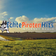 Echte Piratenhits logo