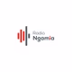 Radio Ngamia logo
