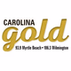 Logo de Carolina Gold - WPGI