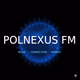 Logo de PolNexus Rock