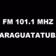 Logo de 101,1 FM