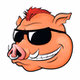 92.3 The Hog - WHHG logo