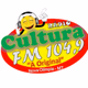 Logo de Rádio Cultura FM 104,9