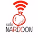 Radio Nardoon logo