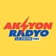 Aksyon Radyo La Union 783 - DZNL logo