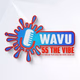 Logo de WAVU-DB 55 The Vibe
