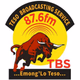 Logo de TBS The BULL