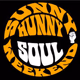 Logo de Sunny Hunny Radio