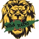 ViiLD SOCA logo
