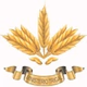 Ministerio Trigal logo