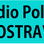 Radio Polna logo