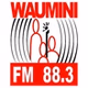 Radio Waumini logo