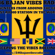 Logo de 246 Bajan Vibes Radio