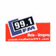 99.1 FM logo