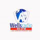 Logo de Wellsradio 89.3 FM