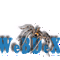 WeBDeX Trance Radio logo