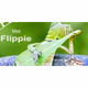 Logo de Flippen Nice