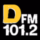 ДФМ logo
