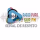 Radio Puro Sur FM logo