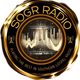 Logo de SOGR Radio | WSGR-DB