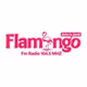 Flamingo FM logo