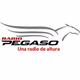 Logo de Radio Pegaso