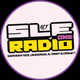 Logo de SLE RADIO