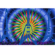 TyeDyeBlues logo