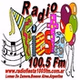 Radio Fiesta 100.5 FM logo