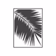 Logo de Palmera Blanca Radio
