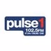 Pulse 1 logo