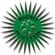 Logo de Radio Pozytyw