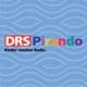 Logo de DRS Pirando