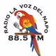 La Voz del Napo logo